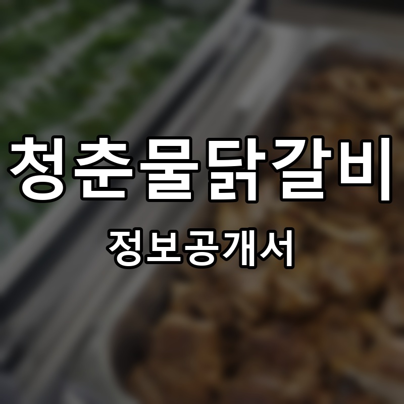 청춘물닭갈비 프랜차이즈 정보공개서