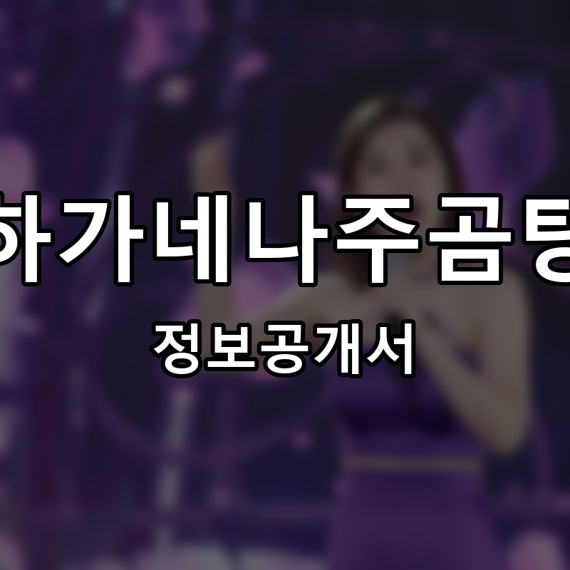 하가네나주곰탕 프랜차이즈 정보공개서