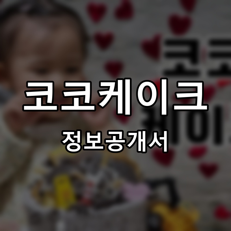 코코케이크 프랜차이즈 정보공개서