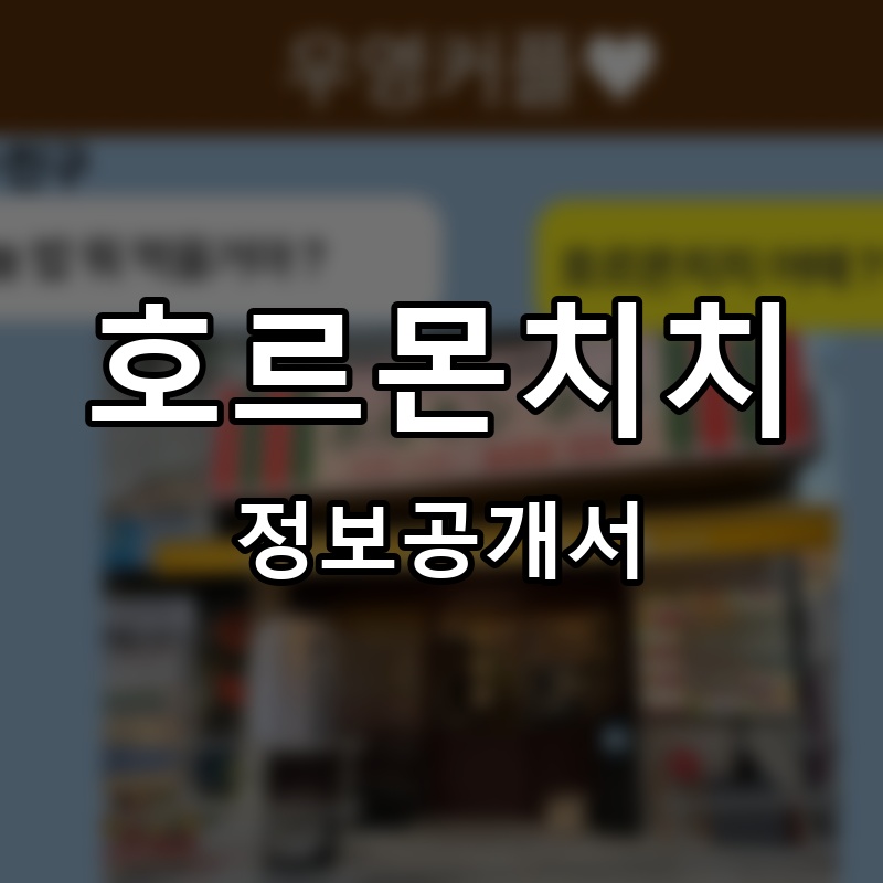 호르몬치치 프랜차이즈 정보공개서