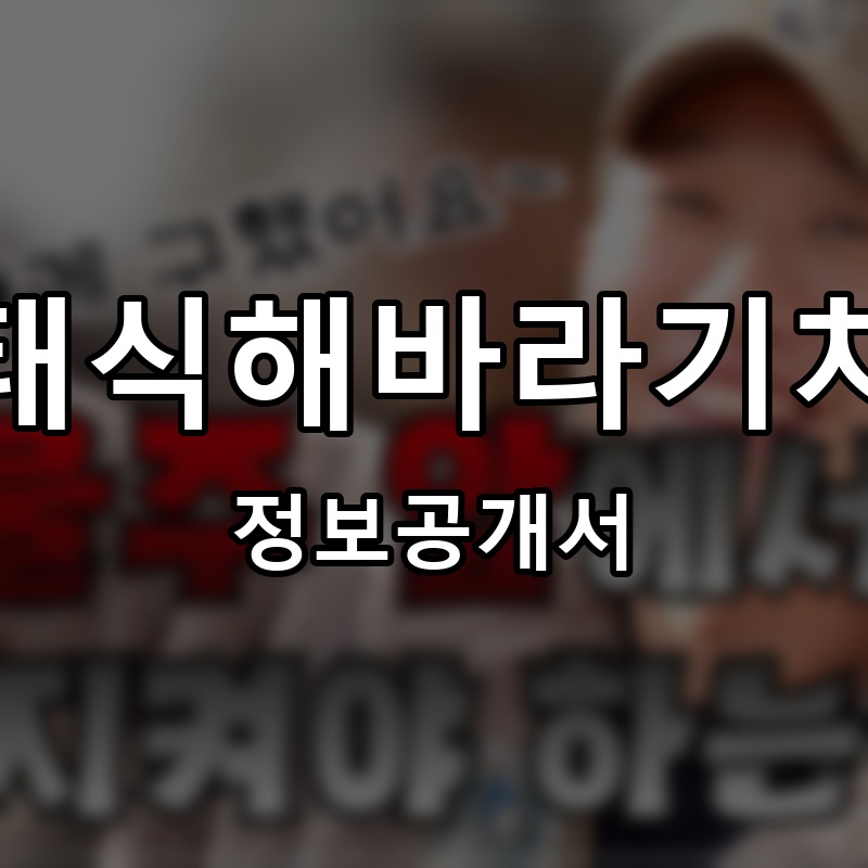 오태식해바라기치킨 프랜차이즈 정보공개서