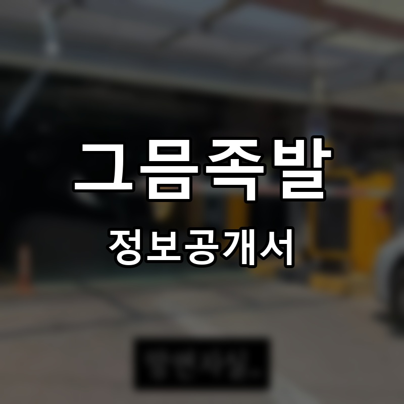 그믐족발 프랜차이즈 정보공개서