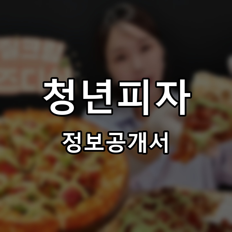 청년피자 프랜차이즈 정보공개서