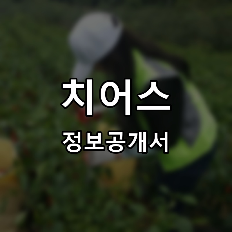 치어스 프랜차이즈 정보공개서