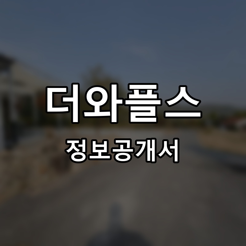 더와플스 프랜차이즈 정보공개서