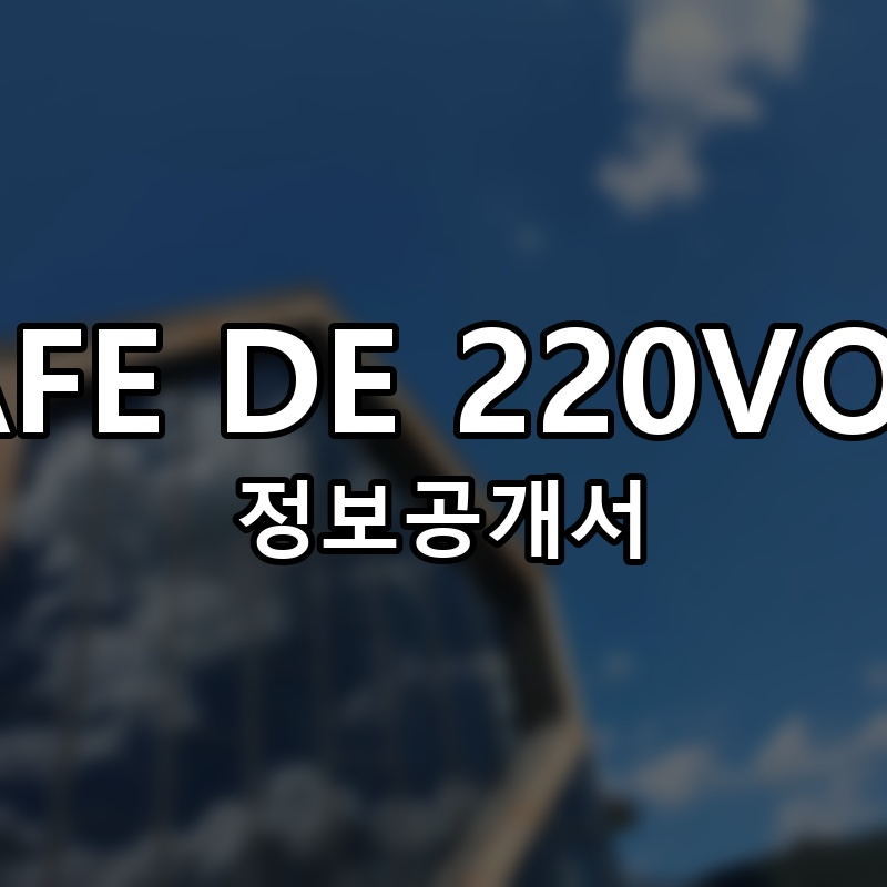 CAFE DE 220VOLT 프랜차이즈 정보공개서