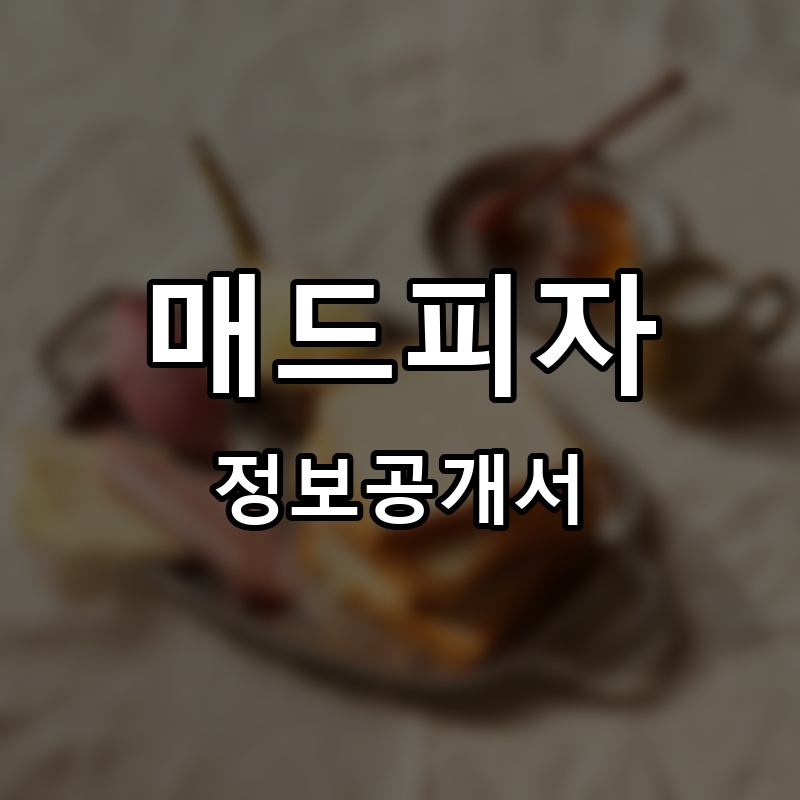 매드피자 프랜차이즈 정보공개서