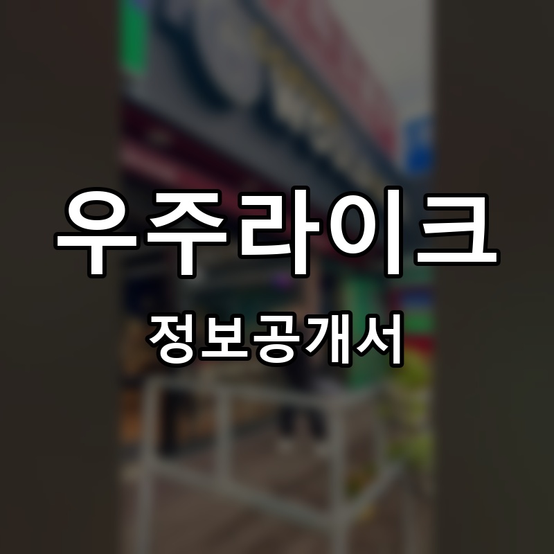 우주라이크(WOULDULIKE) 프랜차이즈 정보공개서