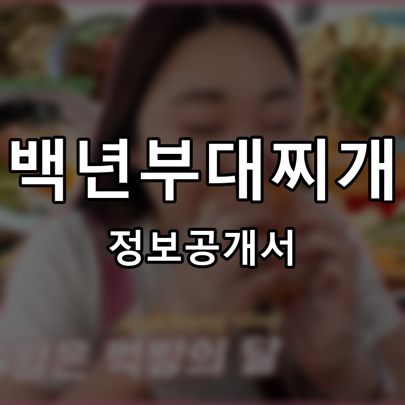백년부대찌개 프랜차이즈 정보공개서