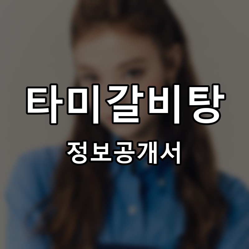 타미갈비탕 프랜차이즈 정보공개서