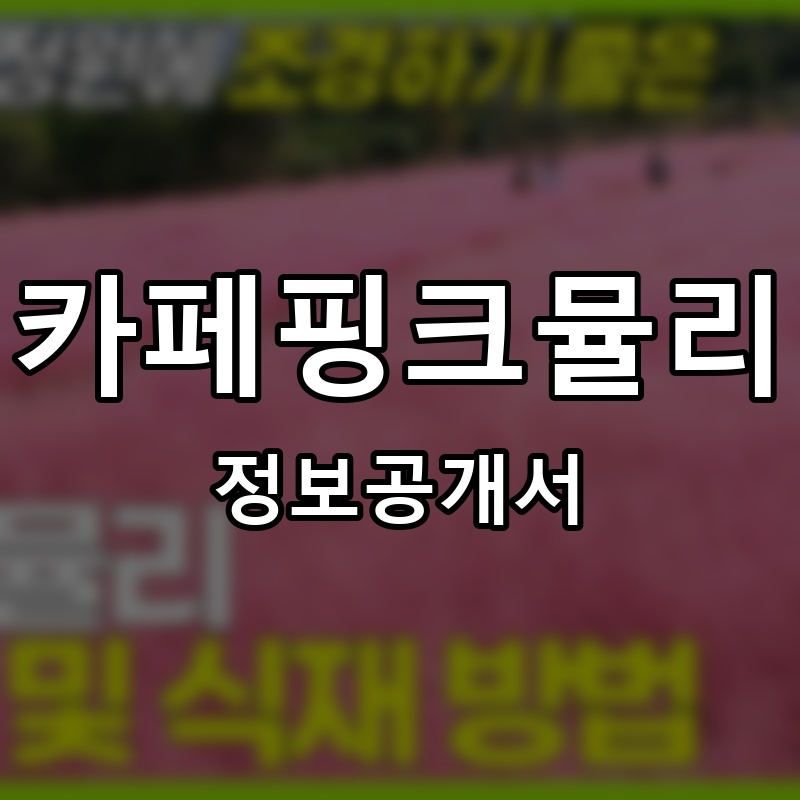 카페핑크뮬리 프랜차이즈 정보공개서