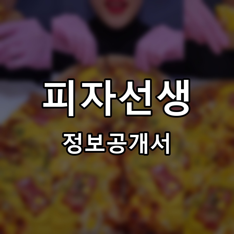 피자선생 프랜차이즈 정보공개서