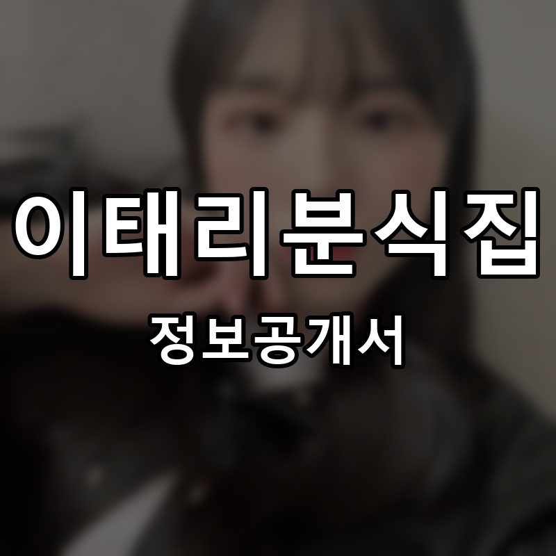 이태리분식집 프랜차이즈 정보공개서