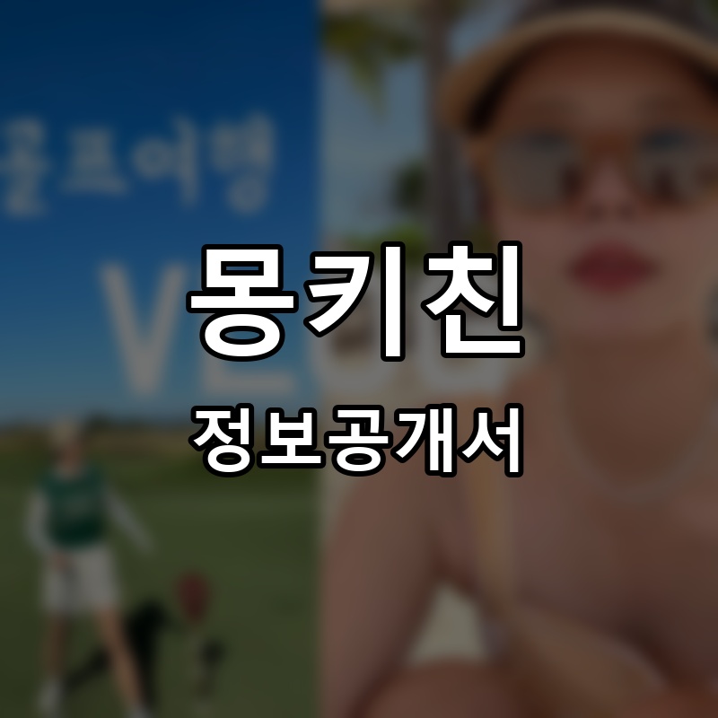 몽키친 프랜차이즈 정보공개서