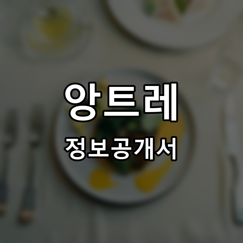앙트레 프랜차이즈 정보공개서