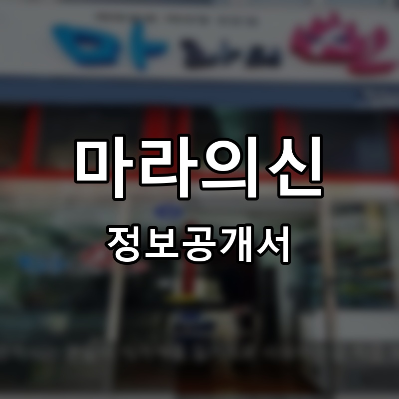 마라의신 프랜차이즈 정보공개서