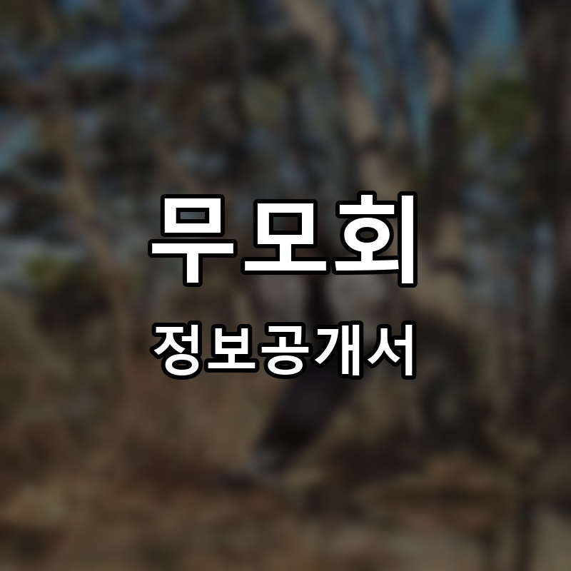 무모회 프랜차이즈 정보공개서