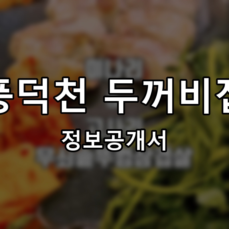 풍덕천 두꺼비집 프랜차이즈 정보공개서