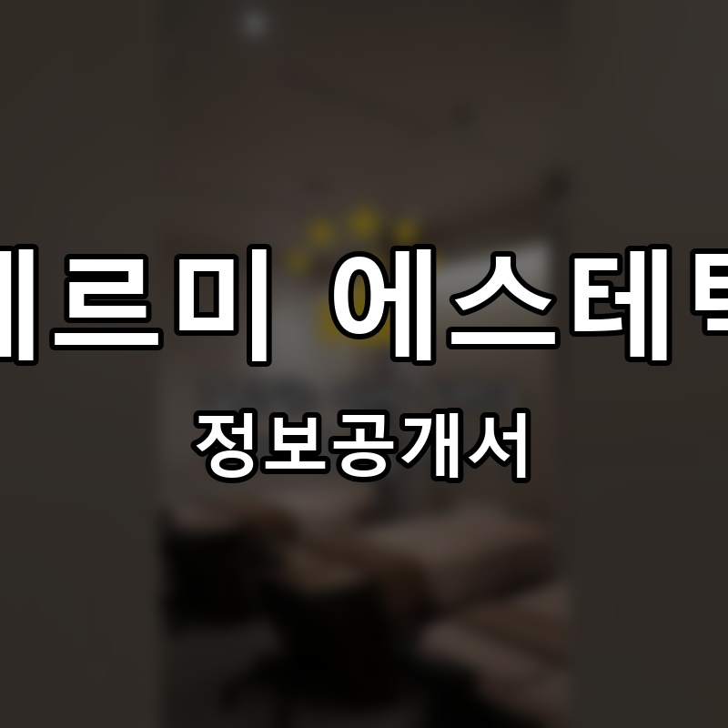 테르미 에스테틱 프랜차이즈 정보공개서