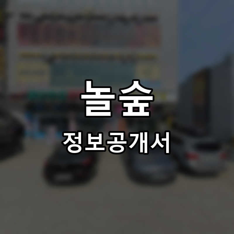 놀숲 프랜차이즈 정보공개서