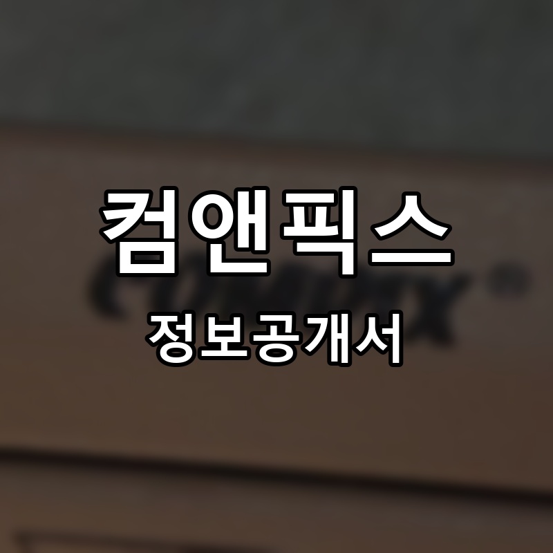 컴앤픽스 프랜차이즈 정보공개서