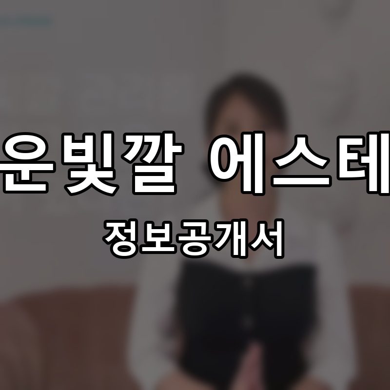 고운빛깔 에스테틱 프랜차이즈 정보공개서