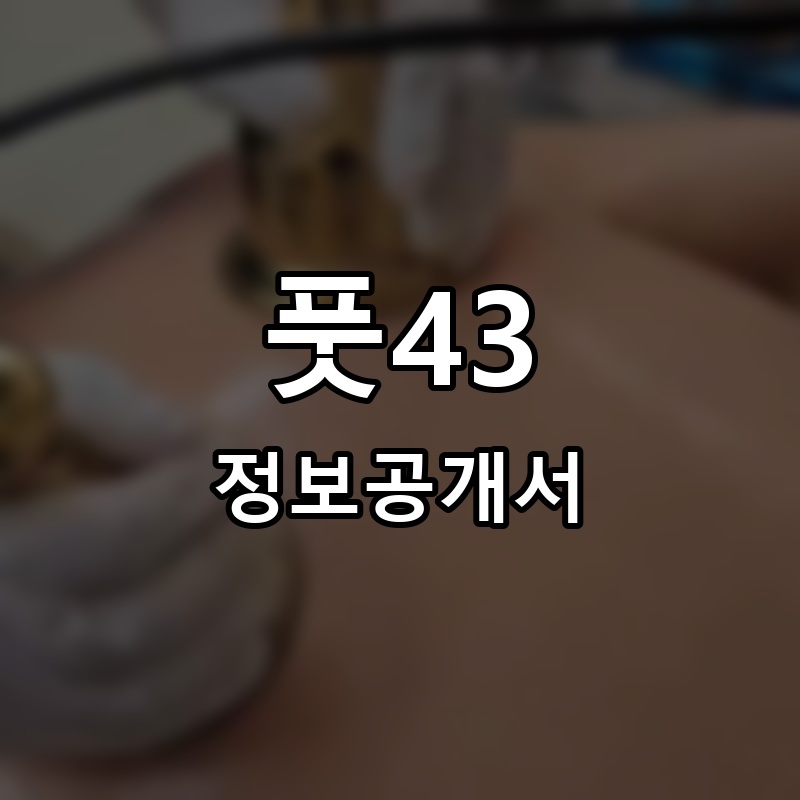 풋43 프랜차이즈 정보공개서