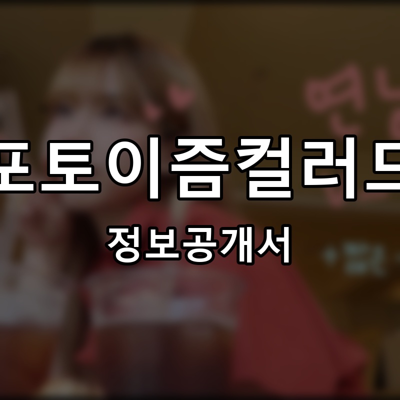 포토이즘컬러드 프랜차이즈 정보공개서