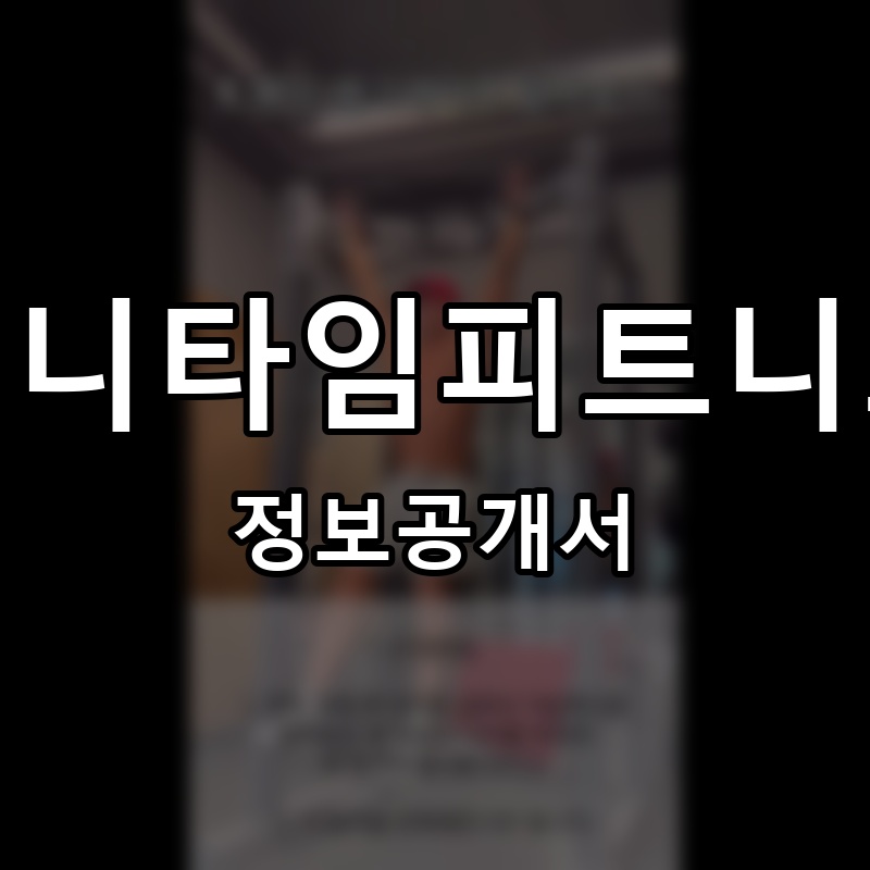 애니타임피트니스 프랜차이즈 정보공개서