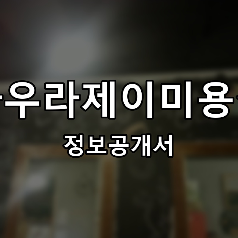 아우라제이미용실 프랜차이즈 정보공개서