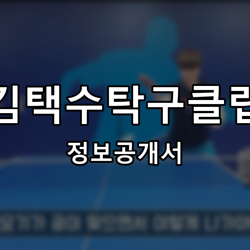 김택수탁구클럽 프랜차이즈 정보공개서