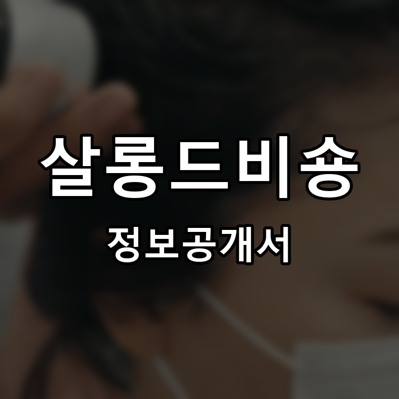 살롱드비숑 프랜차이즈 정보공개서
