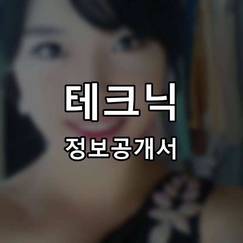 테크닉 프랜차이즈 정보공개서