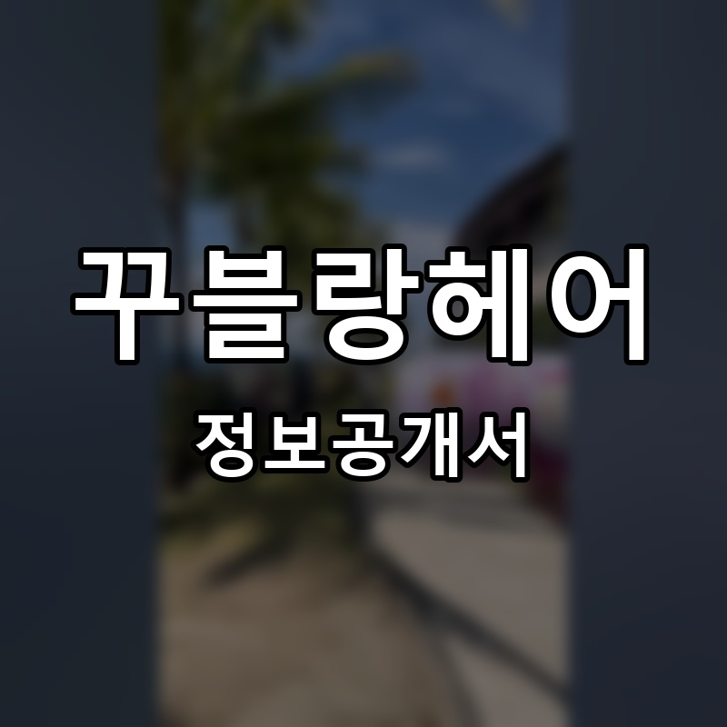 꾸블랑헤어 프랜차이즈 정보공개서