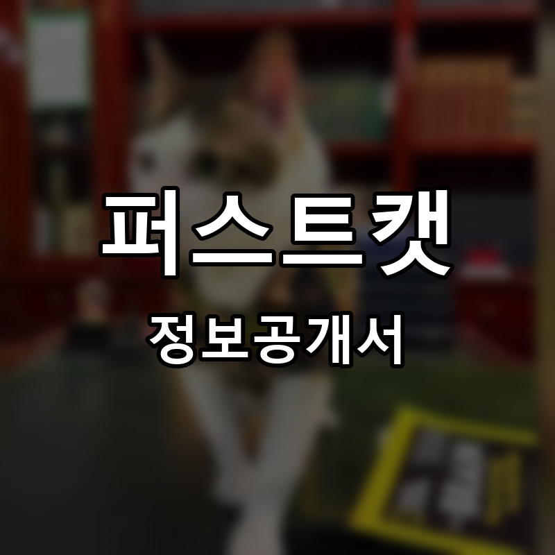 퍼스트캣 프랜차이즈 정보공개서