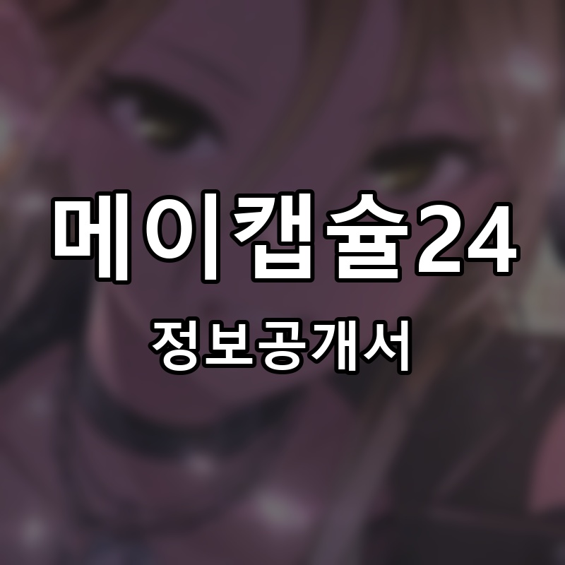 메이캡슐24 프랜차이즈 정보공개서