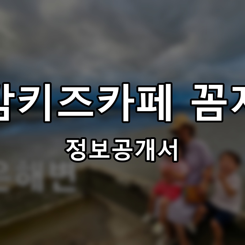 오감키즈카페 꼼지락 프랜차이즈 정보공개서