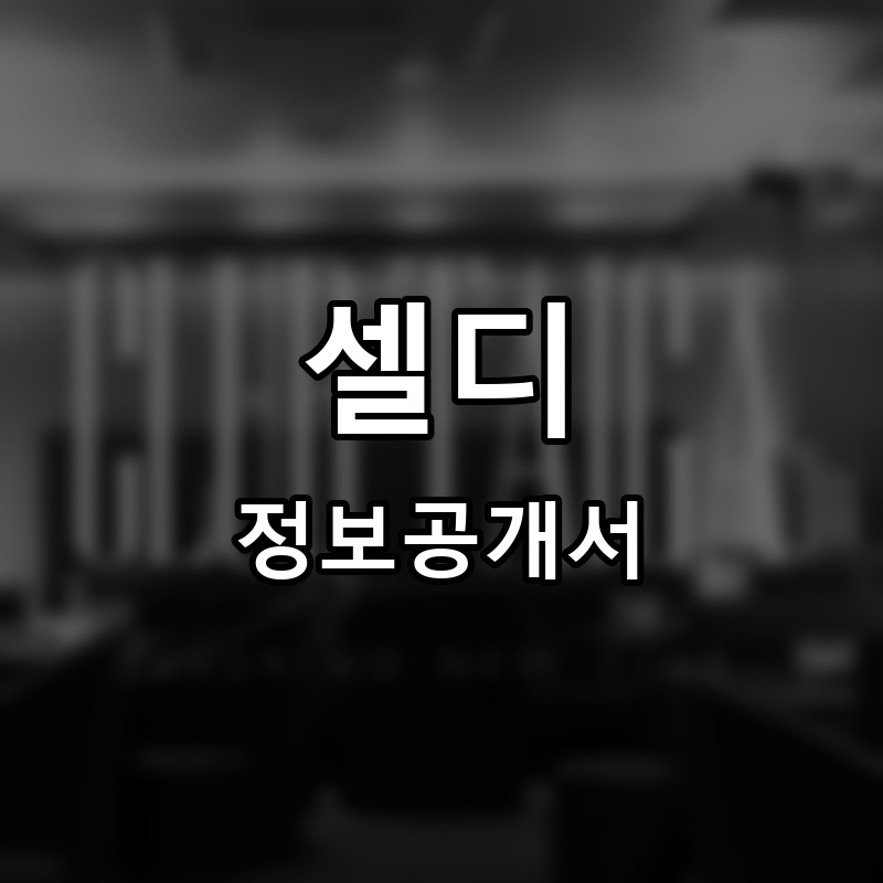 셀디(SELDY) 프랜차이즈 정보공개서
