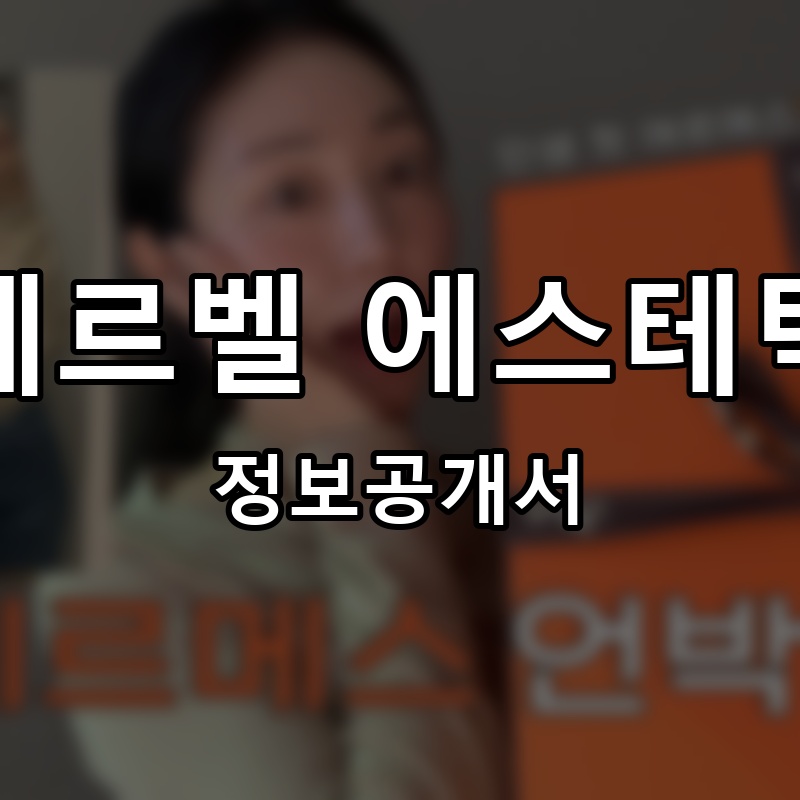 에르벨 에스테틱 프랜차이즈 정보공개서