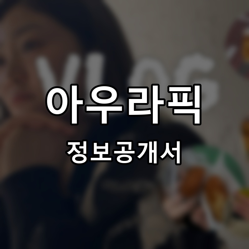 아우라픽 프랜차이즈 정보공개서