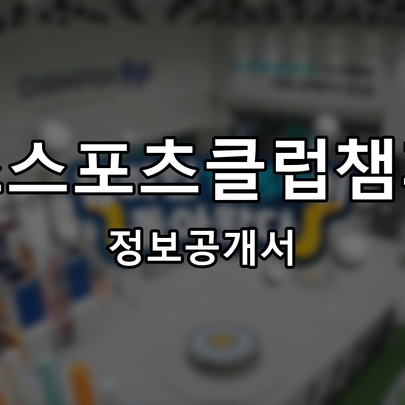 키즈스포츠클럽챔피언 프랜차이즈 정보공개서