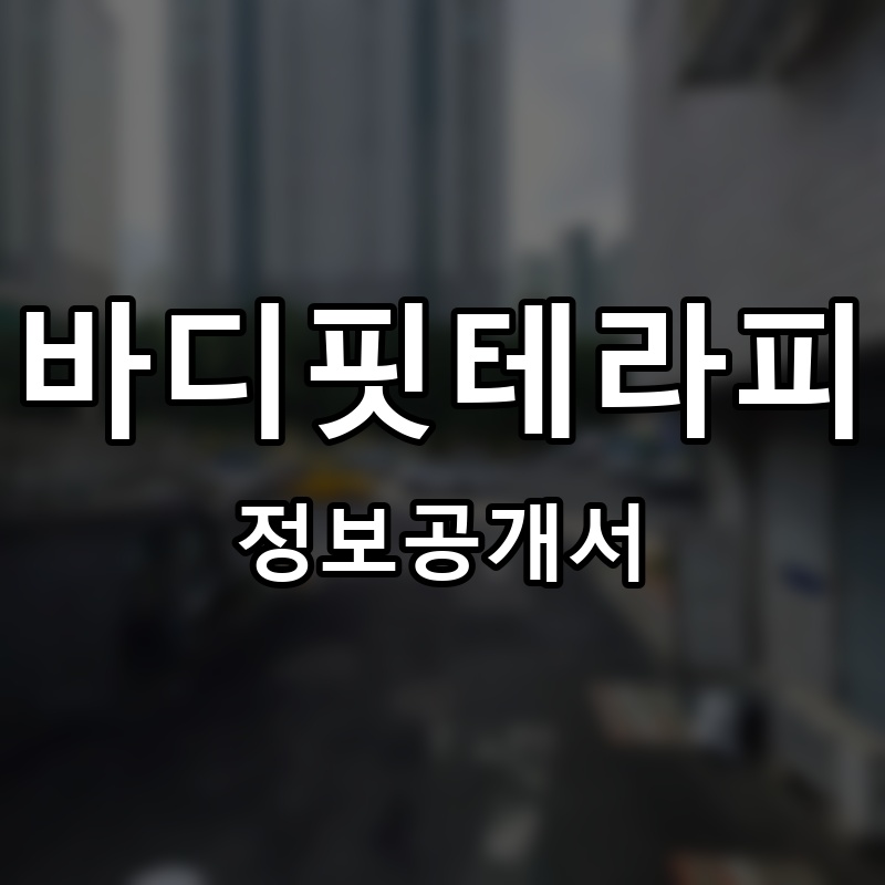 바디핏테라피 프랜차이즈 정보공개서