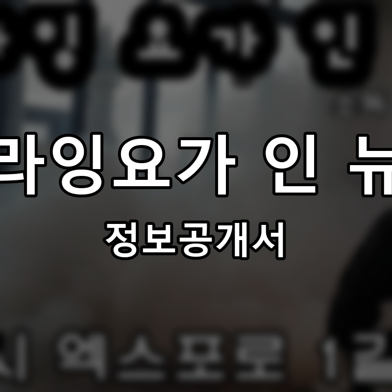 플라잉요가 인 뉴욕 프랜차이즈 정보공개서