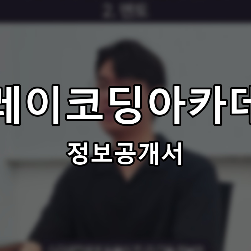 플레이코딩아카데미(PCA) 프랜차이즈 정보공개서
