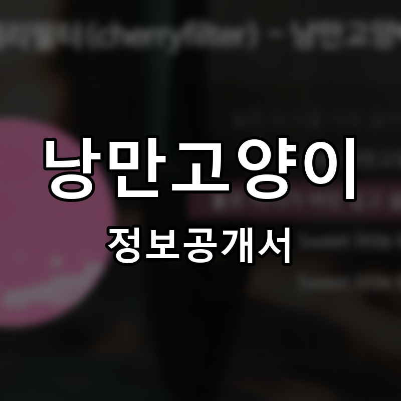 낭만고양이 프랜차이즈 정보공개서