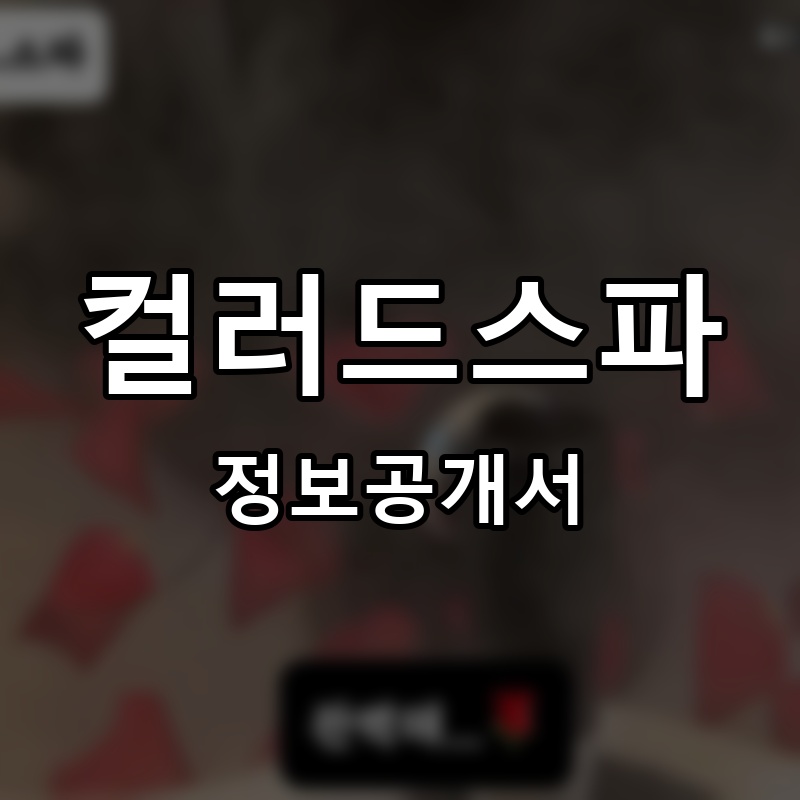 컬러드스파 프랜차이즈 정보공개서