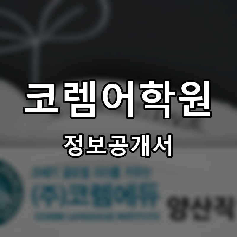 코렘어학원 프랜차이즈 정보공개서
