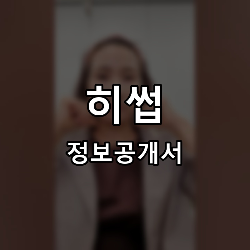 히썹 프랜차이즈 정보공개서