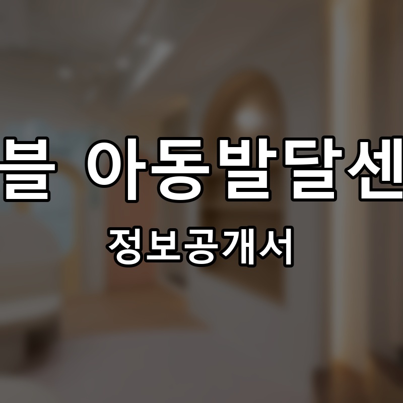 키블 아동발달센터 프랜차이즈 정보공개서