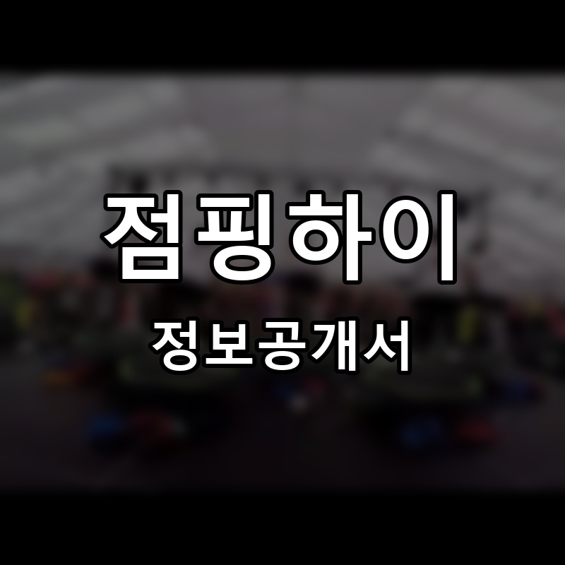 점핑하이 프랜차이즈 정보공개서